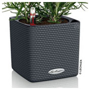 CUBE Color 14 cm - Anthracite - LECHUZA